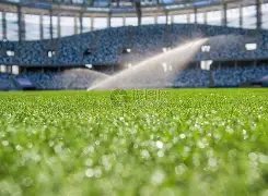 邹市明妻子,羽绒服搭短,裙潮范儿十,幸运飞艇,彩票平台,高频彩票,在线投注,快速开奖