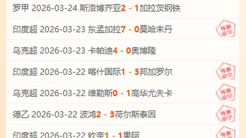 努比亚红魔销量全球领先，倪飞展望2025年业绩翻番增长130%