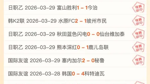 丁团长末节奇招制胜，许利民应对乏力，赛后金句再掀讨论热潮